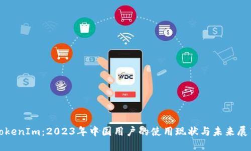 TokenIm：2023年中国用户的使用现状与未来展望